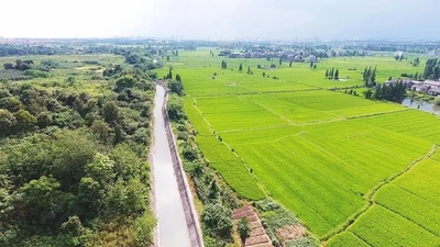 山东省聊城市位山灌区续建配套与现代化改造工程第一期（施工四标）