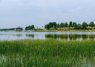 河北廊坊·大厂县城南湿地公园工程