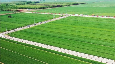 安徽省阜阳市阜南县2021年高标准农田建设项目施工七标